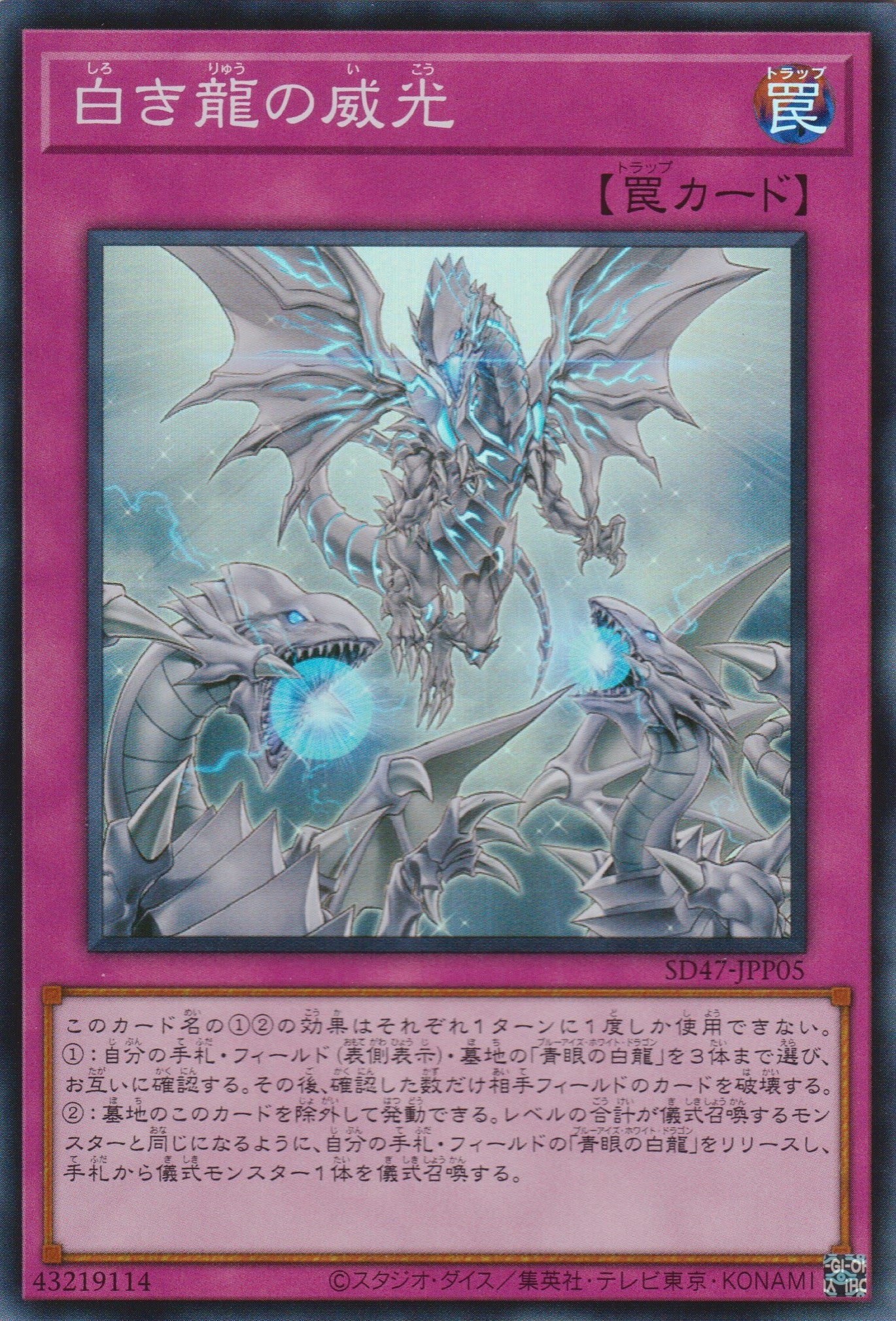 白龍 遊戲王] 白之龍的威光/ 白き龍の威光/ Majesty with Dragons of