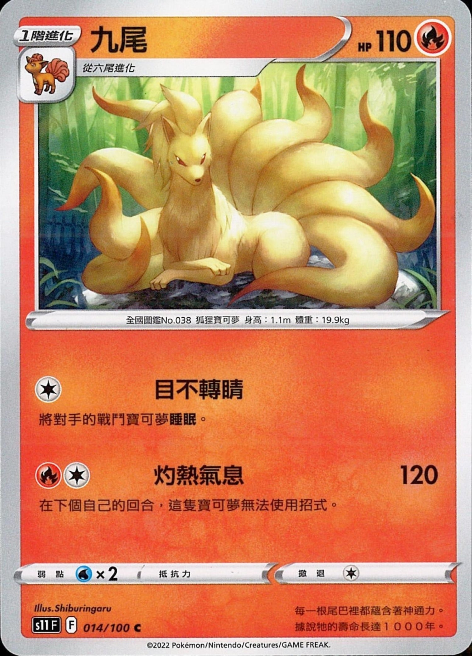 ポケモン - 福の神 Pokémon Center - STRANGE PARADOX - PocketMonsters.Net