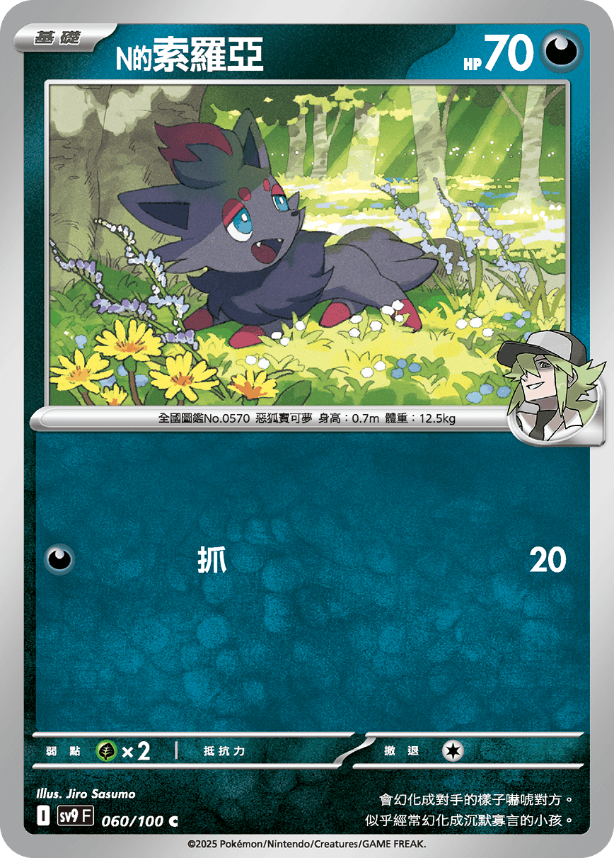 [Pokémon]  N的索羅亞-Trading Card Game-TCG-Oztet Amigo