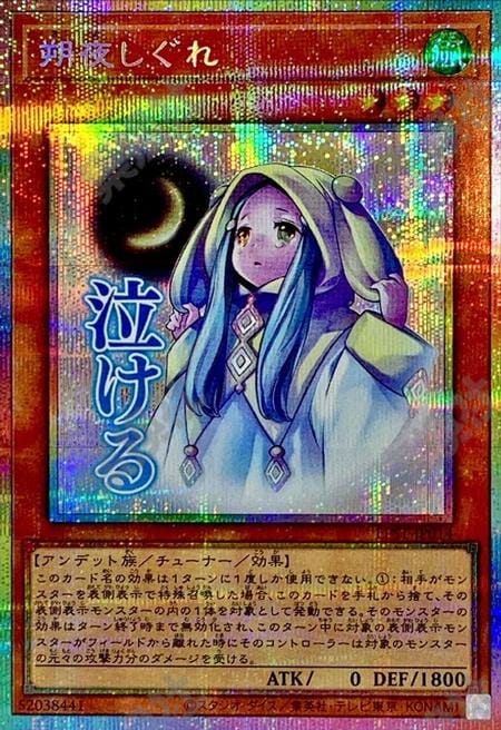 [遊戲王] 朔夜時雨 / 朔夜しぐれ / Ghost Mourner & Moonlit Chill