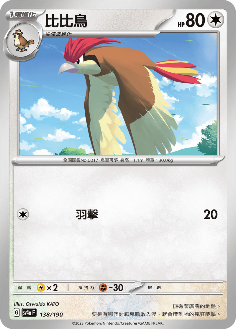 [Pokémon]  比比鳥-Trading Card Game-TCG-Oztet Amigo