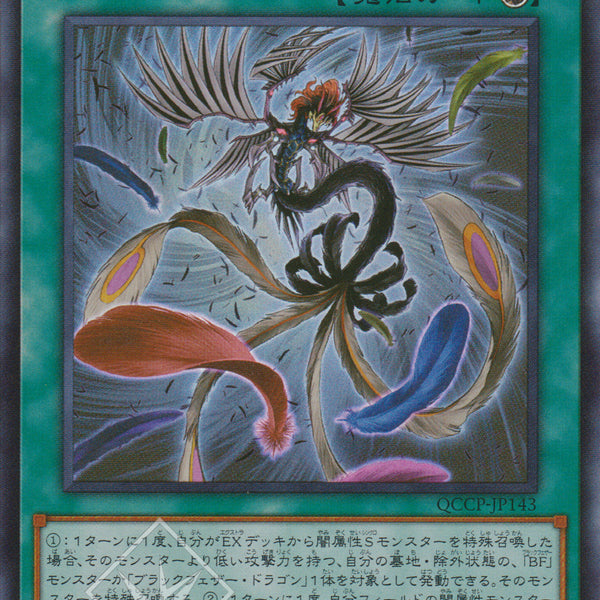 P. Black whirlwind 黑色旋風 (P. Ginka Sporelings selection