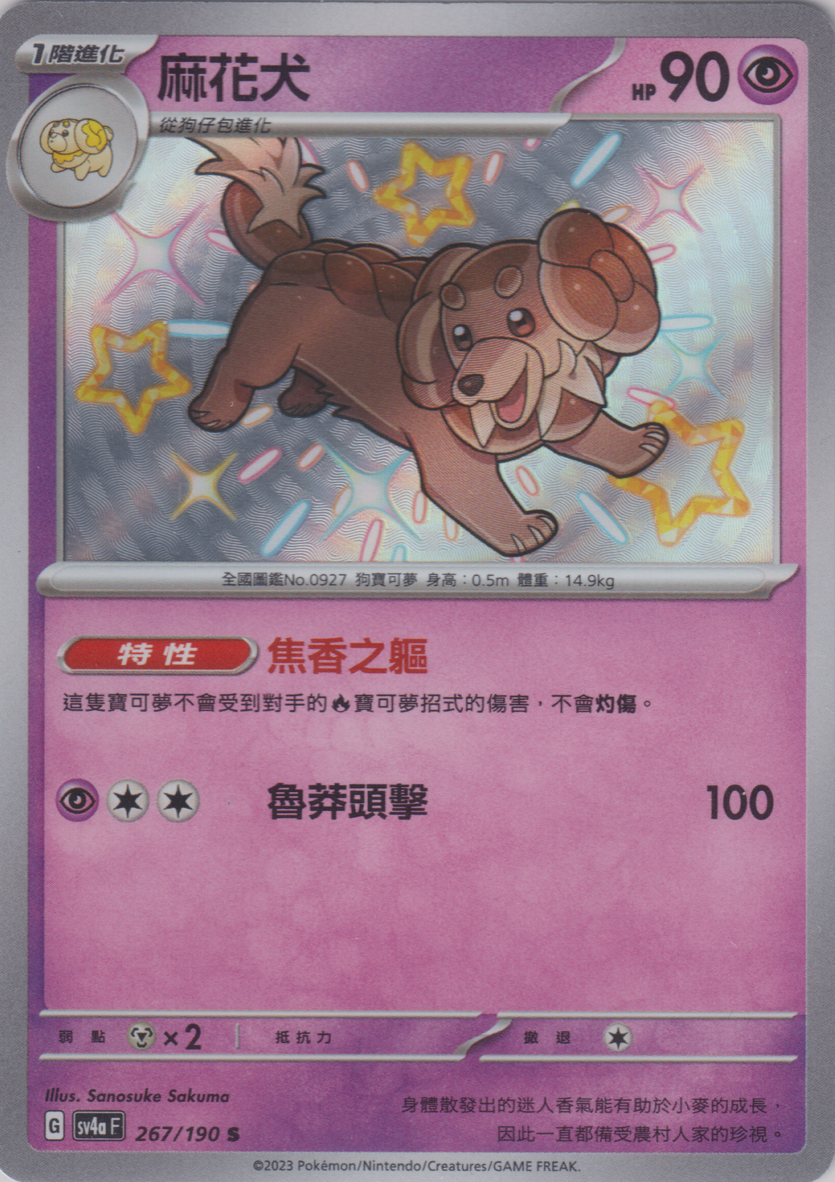 [Pokémon]  麻花犬-色違-Trading Card Game-TCG-Oztet Amigo