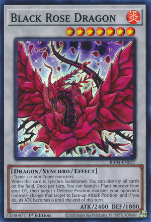 [遊戲王亞英] 黑薔薇龍 / ブラック・ローズ・ドラゴン / Black Rose Dragon