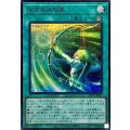 [遊戲王] 雷古勒斯之箭 / レグルスの矢 / Regulus' Arrow
