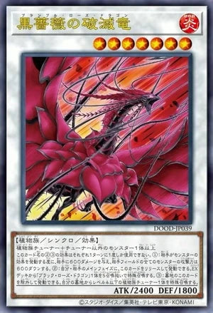 [遊戲王]黑薔薇破滅龍/黒薔薇の破滅竜/Bramble Rose Dragon