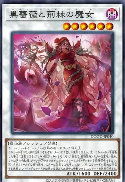[遊戲王]黑薔薇與荊棘的魔女/黒薔薇と荊棘の魔女/Hate Rose Witch