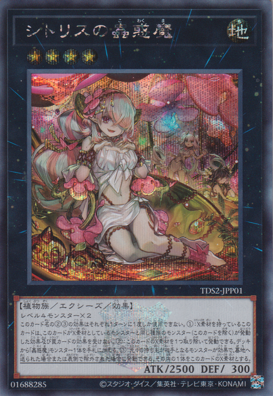 [遊戲王] 希提莉絲的蟲惑魔 / シトリスの蟲惑魔 / Traptrix Pinguicula-Trading Card Game-TCG-Oztet Amigo