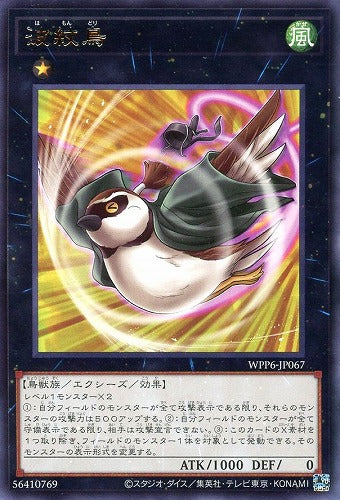 [遊戲王] 波紋鳥 / 波紋鳥 / Ripple BIrd
