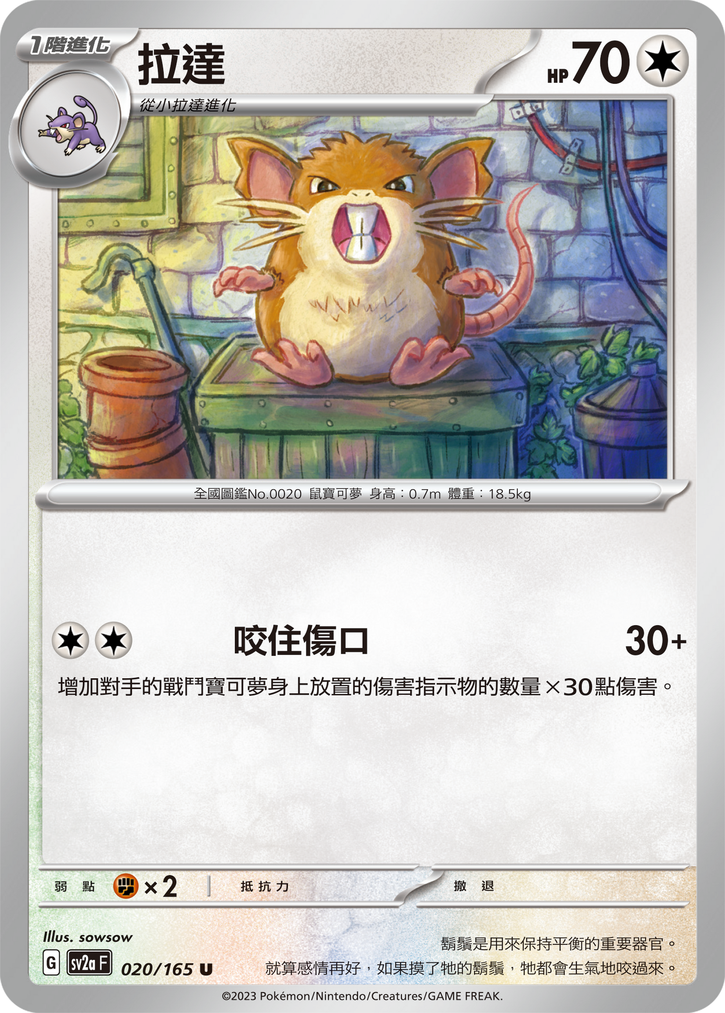[Pokémon] sv2aF 拉達-Trading Card Game-TCG-Oztet Amigo