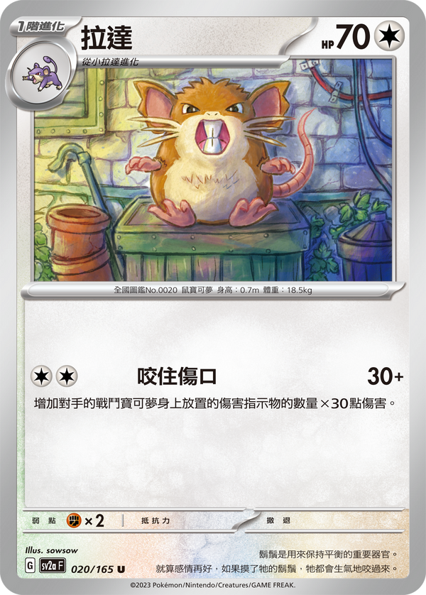 [Pokémon] sv2aF 拉達-Trading Card Game-TCG-Oztet Amigo