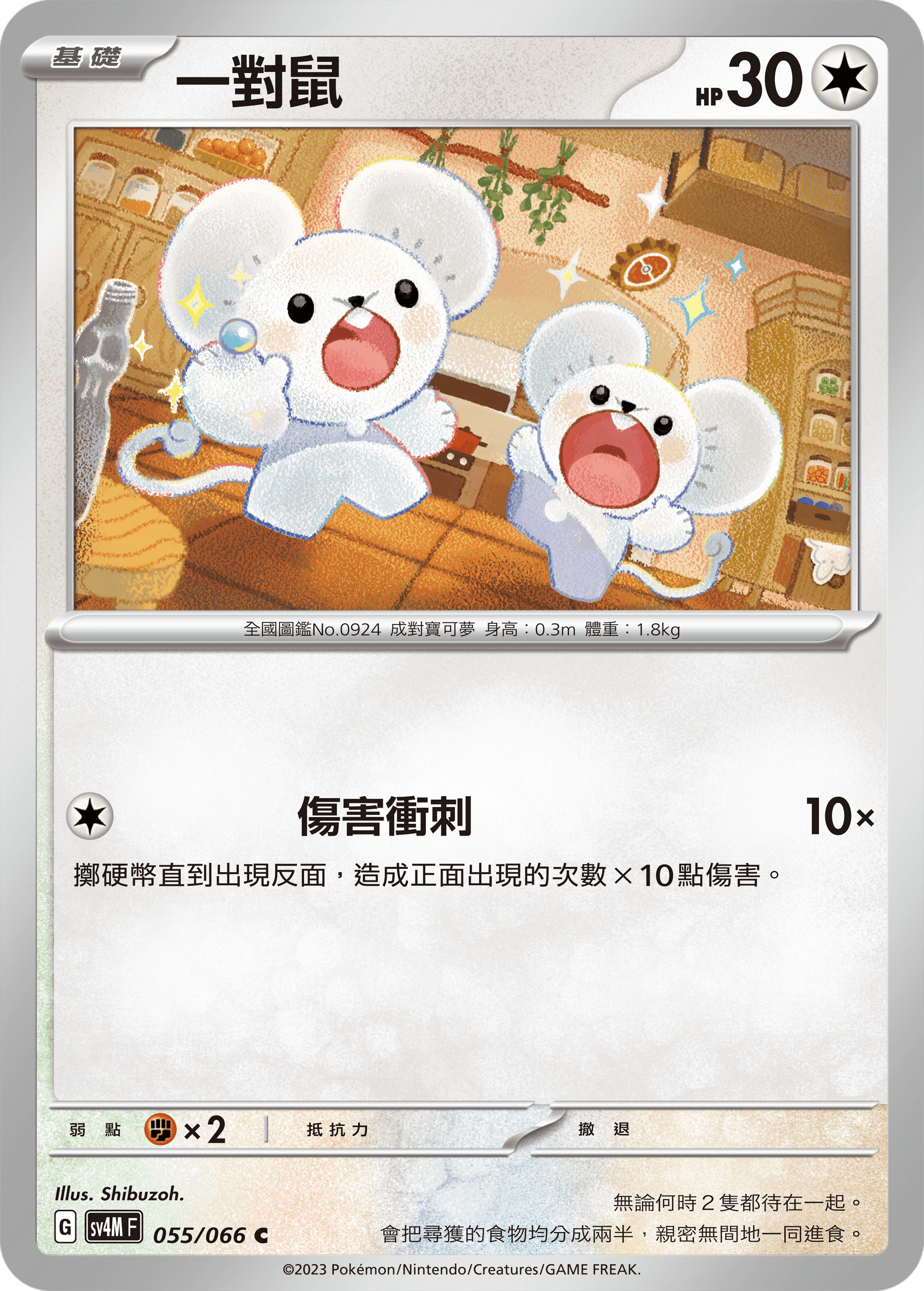 [Pokémon]  一對鼠-Trading Card Game-TCG-Oztet Amigo