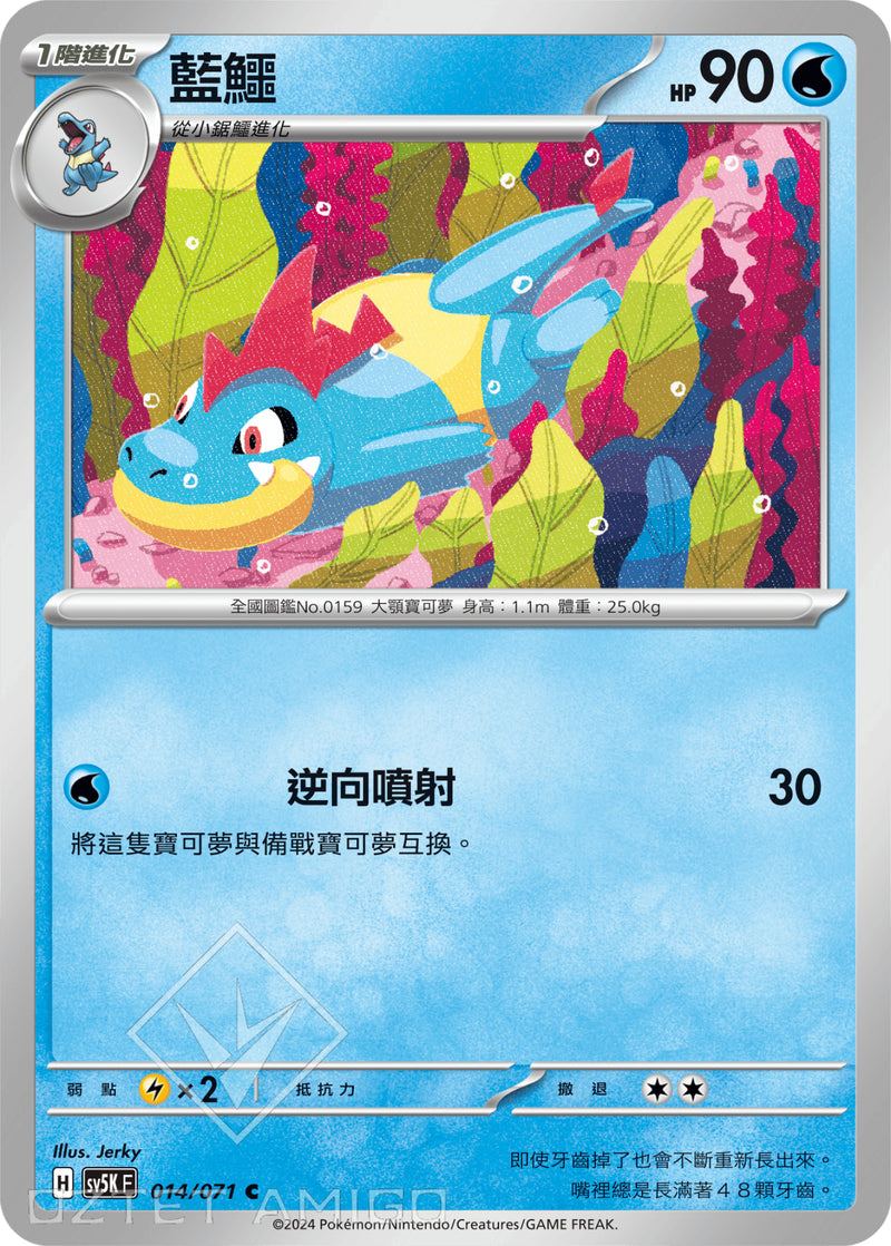 [Pokémon] 藍鱷-Trading Card Game-TCG-Oztet Amigo