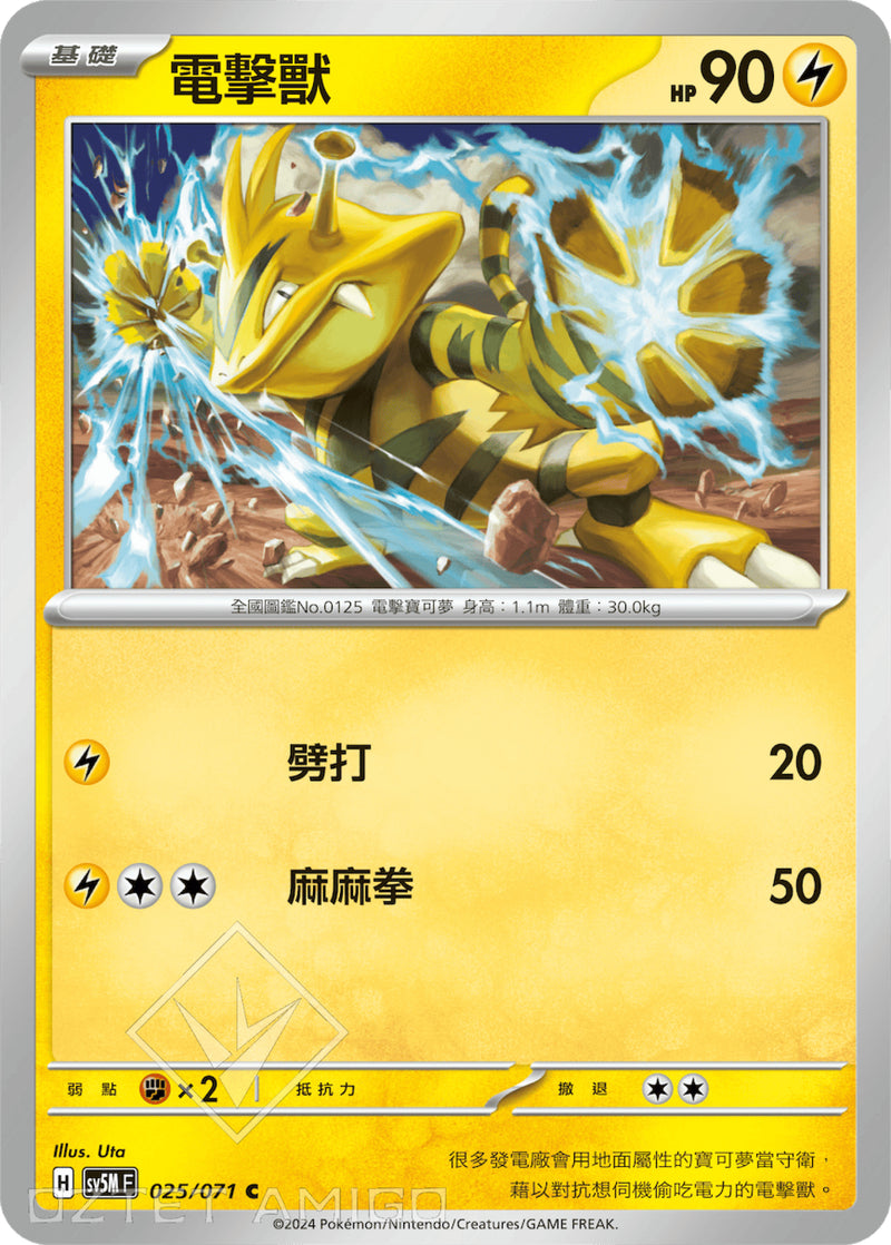 [Pokémon] 電擊獸-Trading Card Game-TCG-Oztet Amigo