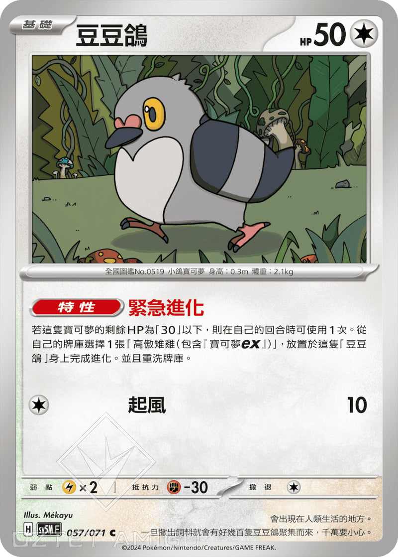 [Pokémon] 豆豆鴿-Trading Card Game-TCG-Oztet Amigo