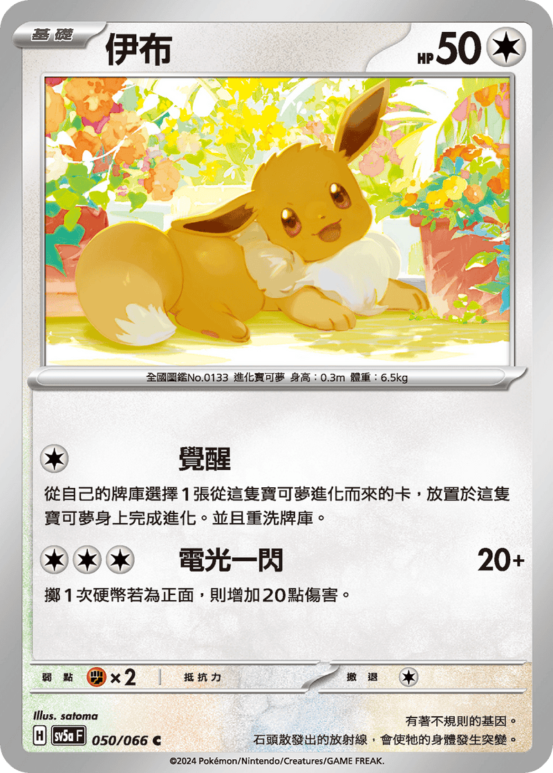 [Pokémon]  伊布-Trading Card Game-TCG-Oztet Amigo