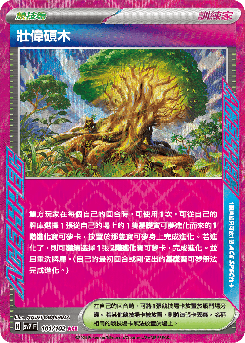 [Pokémon]  壯偉碩木-Trading Card Game-TCG-Oztet Amigo