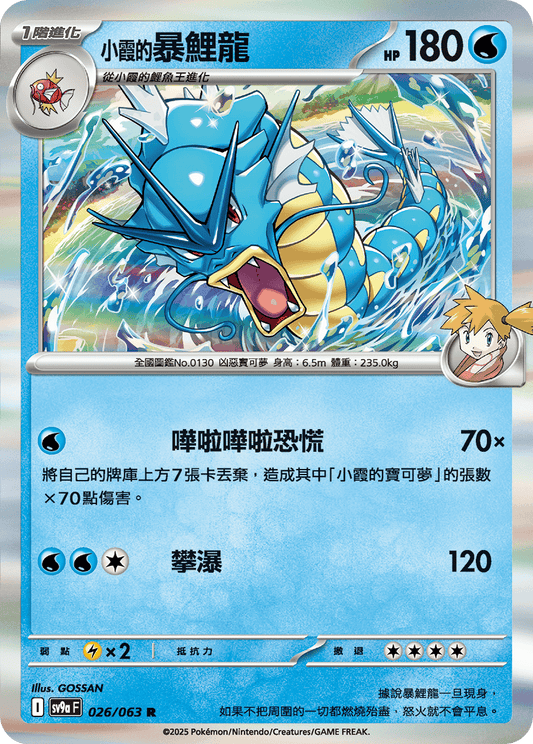 [Pokémon] <小霞的>暴鯉龍-Trading Card Game-TCG-Oztet Amigo