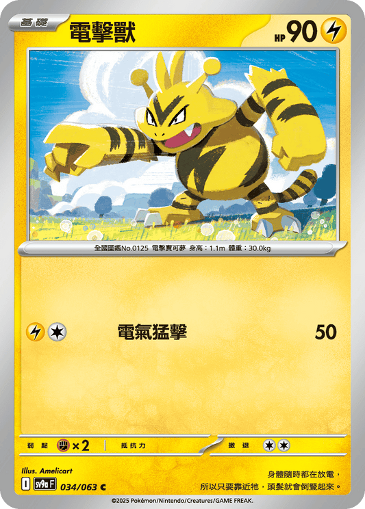 [Pokémon] 電擊獸-Trading Card Game-TCG-Oztet Amigo