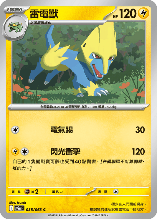 [Pokémon] 雷電獸-Trading Card Game-TCG-Oztet Amigo