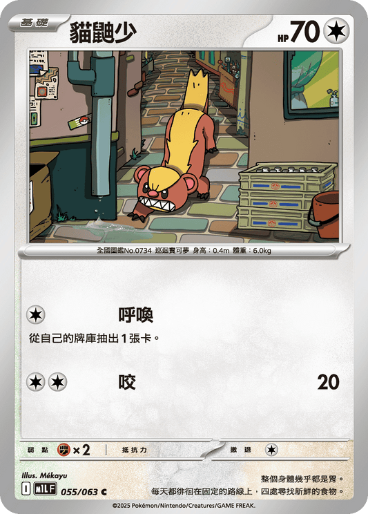 [Pokémon] 貓鼬少