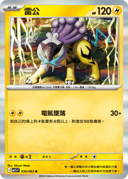 [Pokémon] 雷公