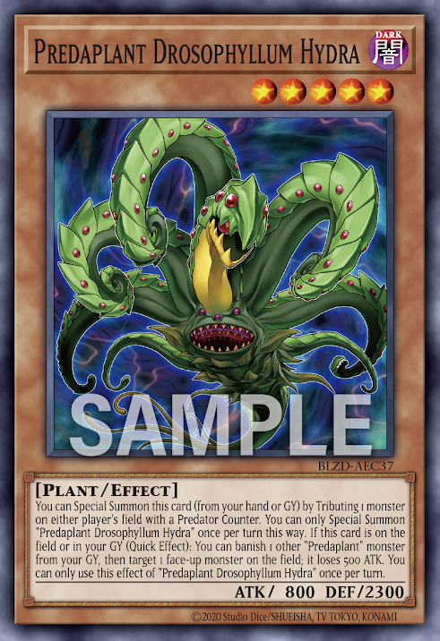 [遊戲王亞英] BLZD-AEC37 / 捕食植物 露松水螅龍/ 捕食植物ドロソフィルム·ヒドラ / Predaplant Drosophyllum Hydra / N