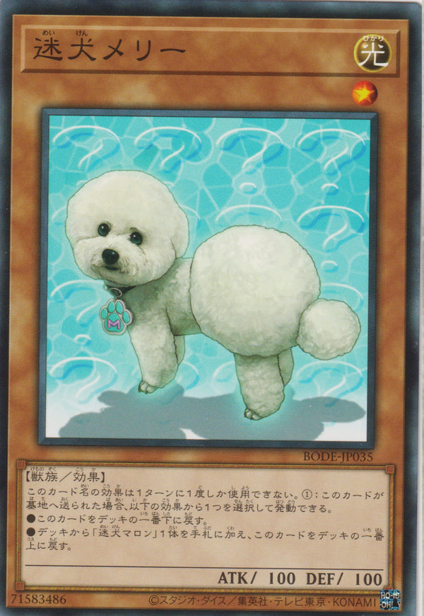 [遊戲王] 迷犬梅莉 / 迷犬メリー / Outstanding Dog Mary-Trading Card Game-TCG-Oztet Amigo