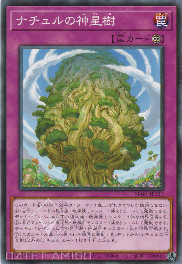 [遊戲王] 自然的神星樹 / ナチュルの神星樹 / Naturia Sacred Tree-Trading Card Game-TCG-Oztet Amigo