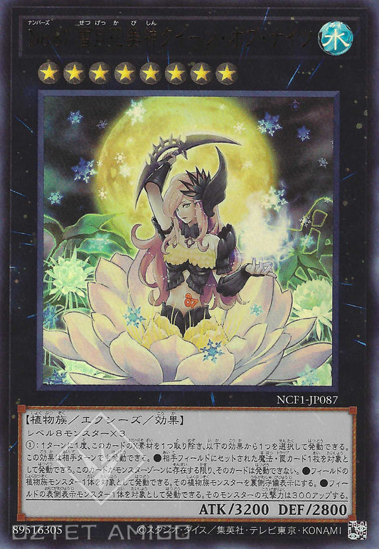 [遊戲王] No.87 雪月花美神月下美人 / No.87 雪月花美神クイーン·オブ·ナイツ / Number 87: Queen of the Night-Trading Card Game-TCG-Oztet Amigo
