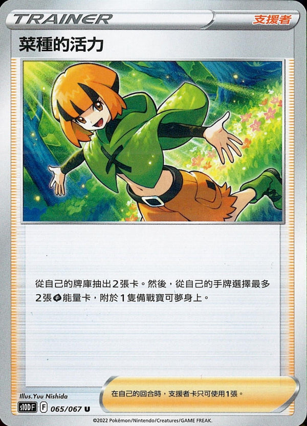 [Pokémon] s10DF 菜種的活力-Trading Card Game-TCG-Oztet Amigo
