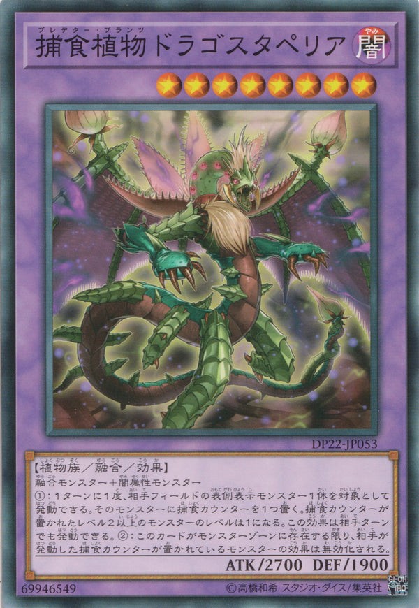 [遊戲王] 捕食植物魔星花龍 / 捕食植物ドラゴスタペリア / Predaplant Dragostapelia-Trading Card Game-TCG-Oztet Amigo