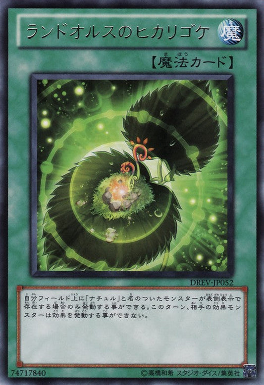 [遊戲王] 玄武的光蘚 / ランドオルスのヒカリゴケ / Landoise's Luminous Moss-Trading Card Game-TCG-Oztet Amigo
