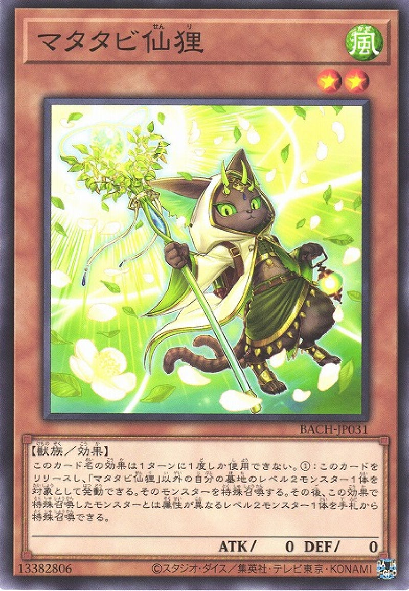 [遊戲王] 木天蓼仙貍 / マタタビ仙狸 / Silvervine Senri-Trading Card Game-TCG-Oztet Amigo