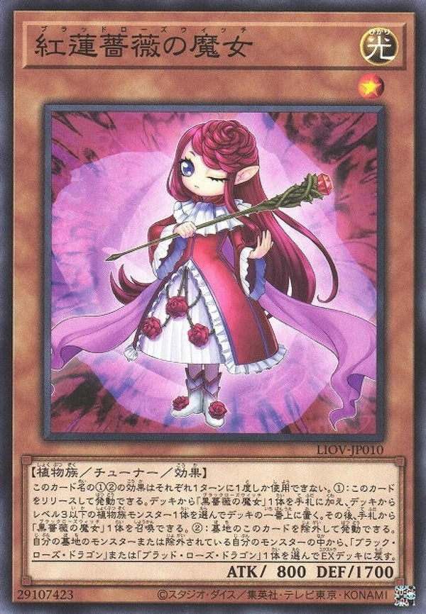 [遊戲王] 紅蓮薔薇的魔女 / 紅蓮薔薇の魔女 / Ruddy Rose Witch-Trading Card Game-TCG-Oztet Amigo