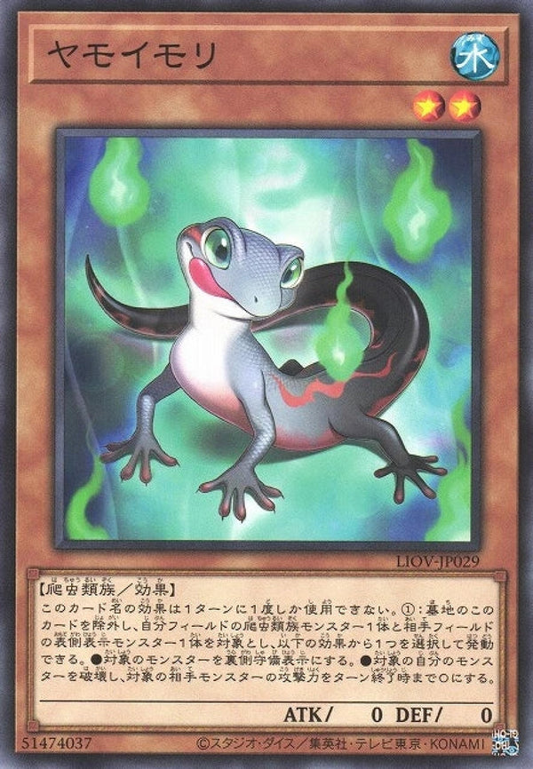 [遊戲王] 蠑螈壁虎 / ヤモイモリ / Yamorimori-Trading Card Game-TCG-Oztet Amigo