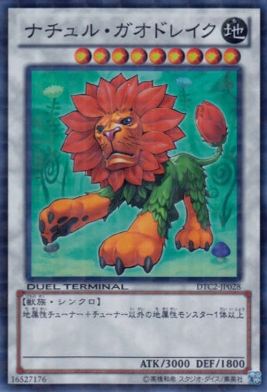 [遊戲王] 自然吼獅 / ナチュル·ガオドレイク / Naturia Leodrake-Trading Card Game-TCG-Oztet Amigo