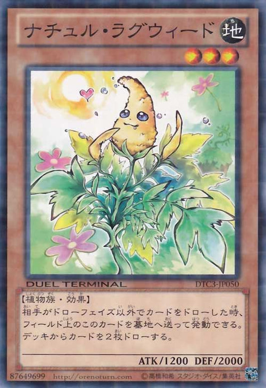 [遊戲王] 自然豚草 / ナチュル・ラグウィード / Naturia Ragweed-Trading Card Game-TCG-Oztet Amigo