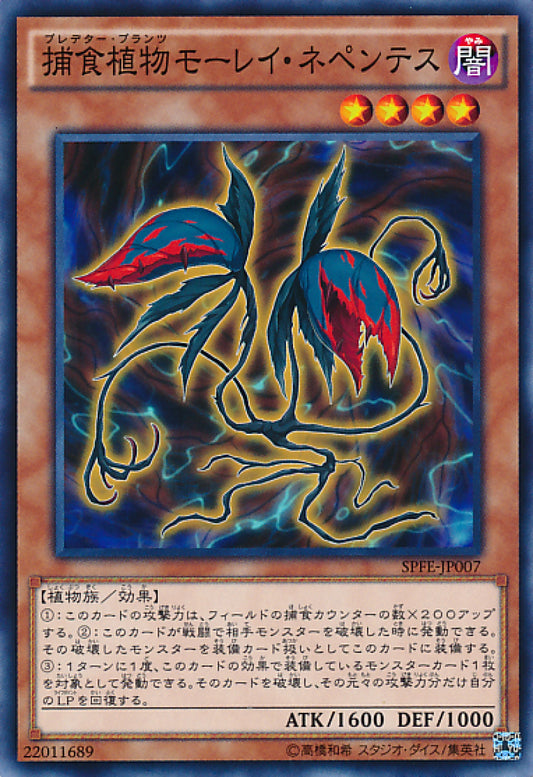 [遊戲王] 捕食植物鱔豬籠草 / 捕食植物モーレイ·ネペンテス / Predaplant Moray Nepenthes-Trading Card Game-TCG-Oztet Amigo