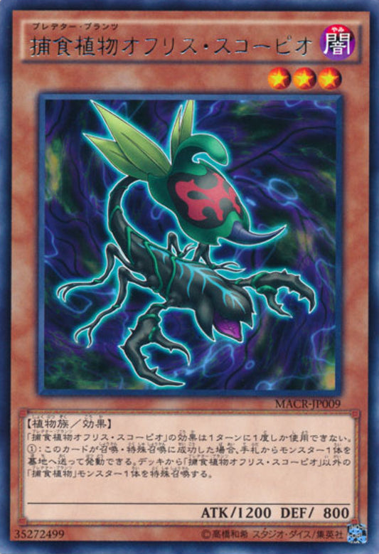 [遊戲王] 捕食植物蜂蘭蠍 / 捕食植物オフリス·スコーピオ / Predaplant Ophrys Scorpio-Trading Card Game-TCG-Oztet Amigo