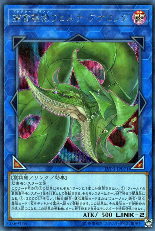 [遊戲王] 捕食植物 佛得角蟒蛇 / 捕食植物ヴェルテ·アナコンダ / Predaplant Verte Anaconda-Trading Card Game-TCG-Oztet Amigo