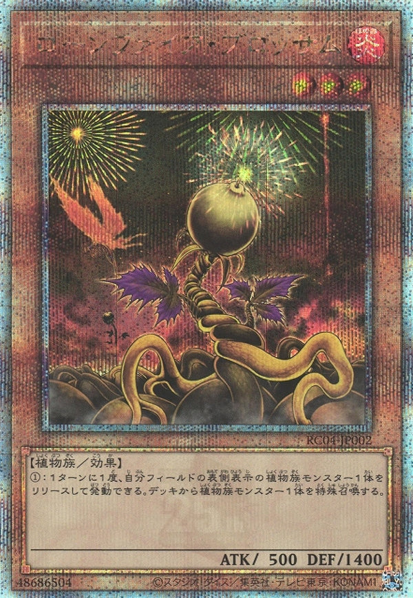 [遊戲王] 孤燃花 / ローンファイア·ブロッサム / Lonefire Blossom-Trading Card Game-TCG-Oztet Amigo