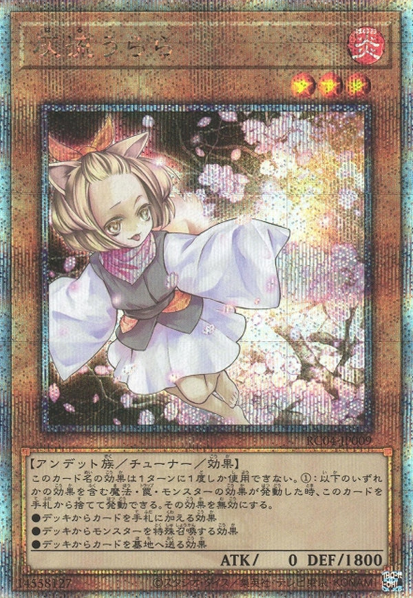 [遊戲王] 灰流麗 / 灰流うらら / Ash Blossom & Joyous Spring-Trading Card Game-TCG-Oztet Amigo
