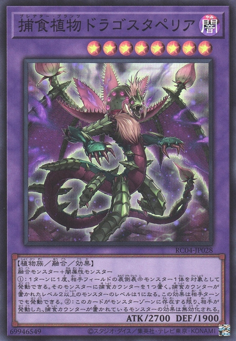 [遊戲王] 捕食植物魔星花龍 / 捕食植物ドラゴスタペリア / Predaplant Dragostapelia-Trading Card Game-TCG-Oztet Amigo