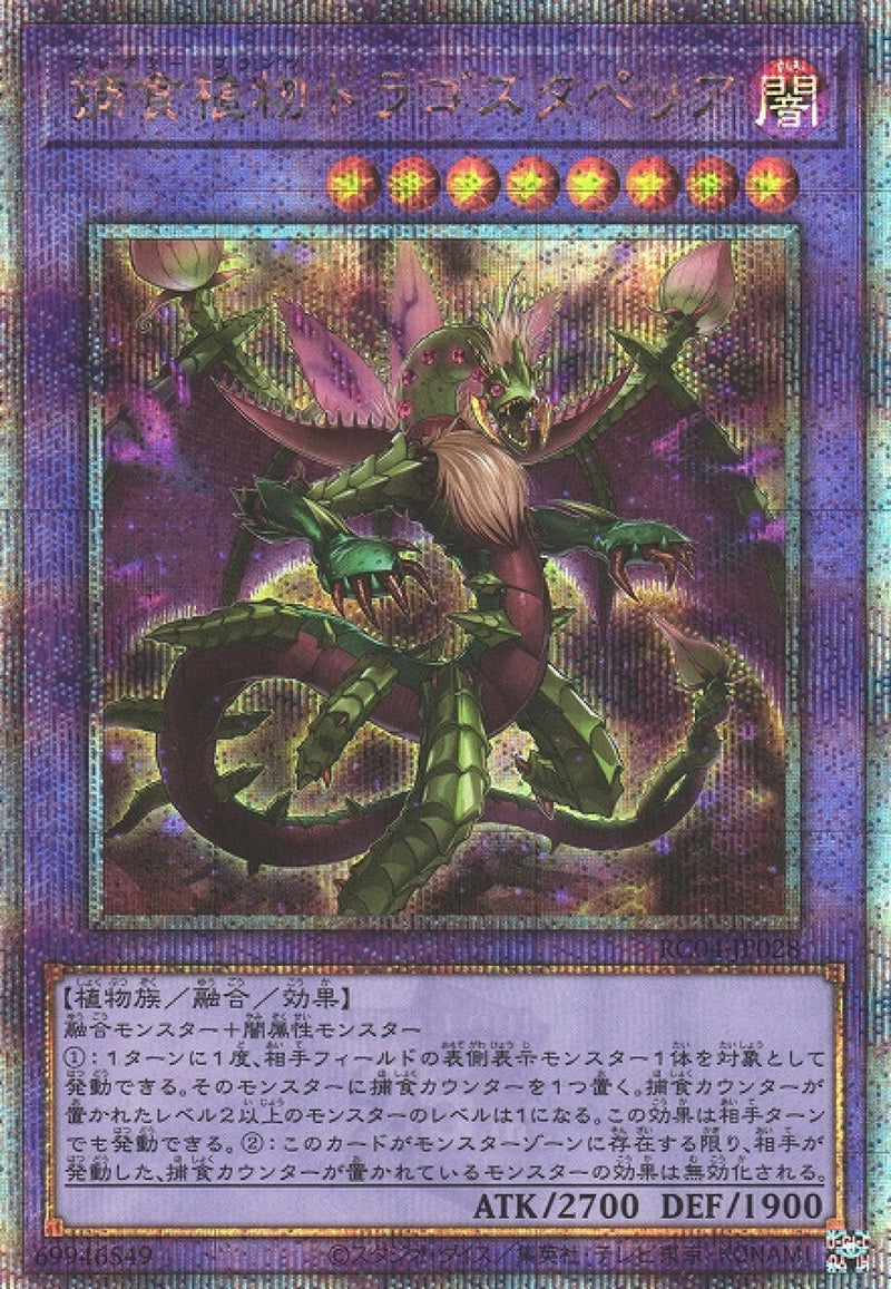 [遊戲王] 捕食植物魔星花龍 / 捕食植物ドラゴスタペリア / Predaplant Dragostapelia-Trading Card Game-TCG-Oztet Amigo