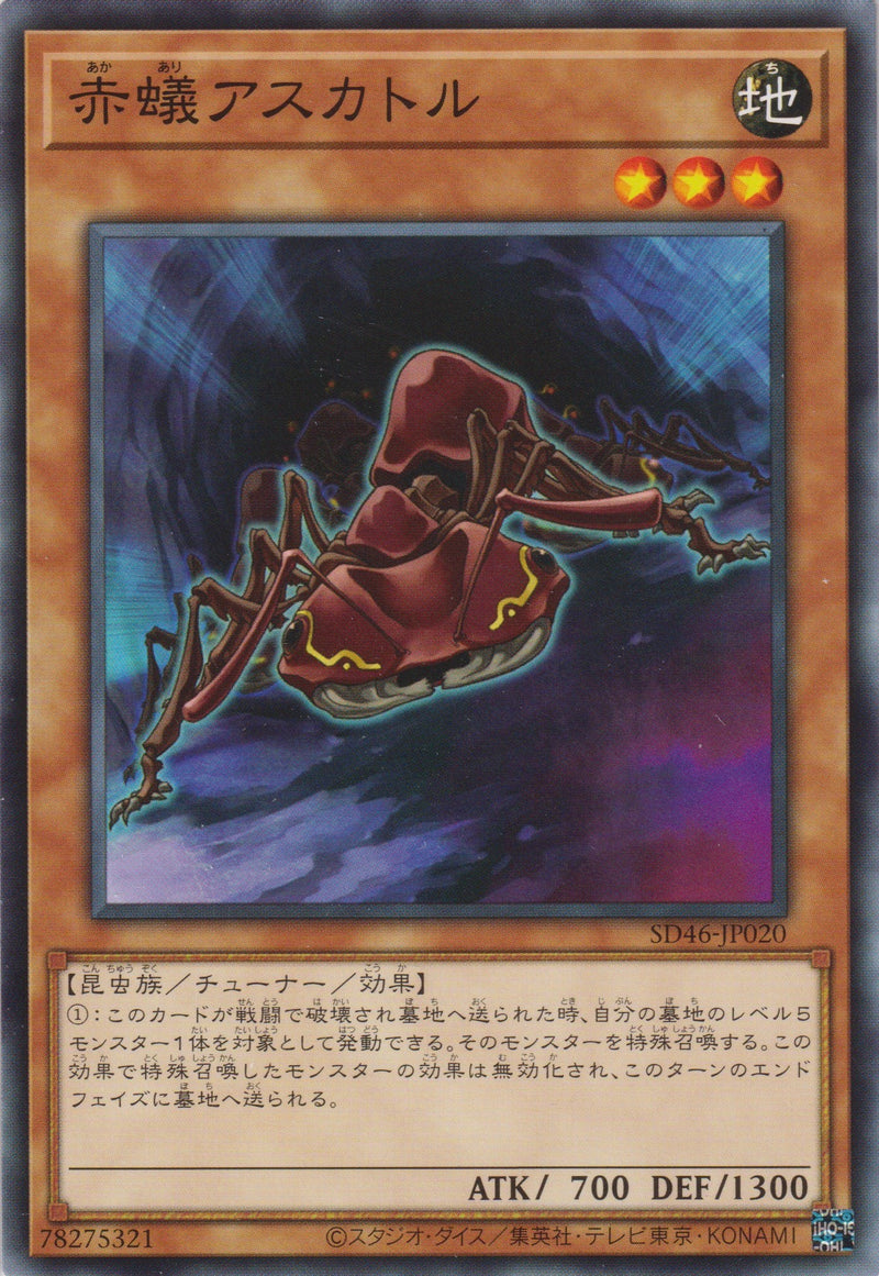 [遊戲王] 赤蟻 阿斯卡托爾 / 赤蚁アスカトル / Fire Ant Ascator-Trading Card Game-TCG-Oztet Amigo