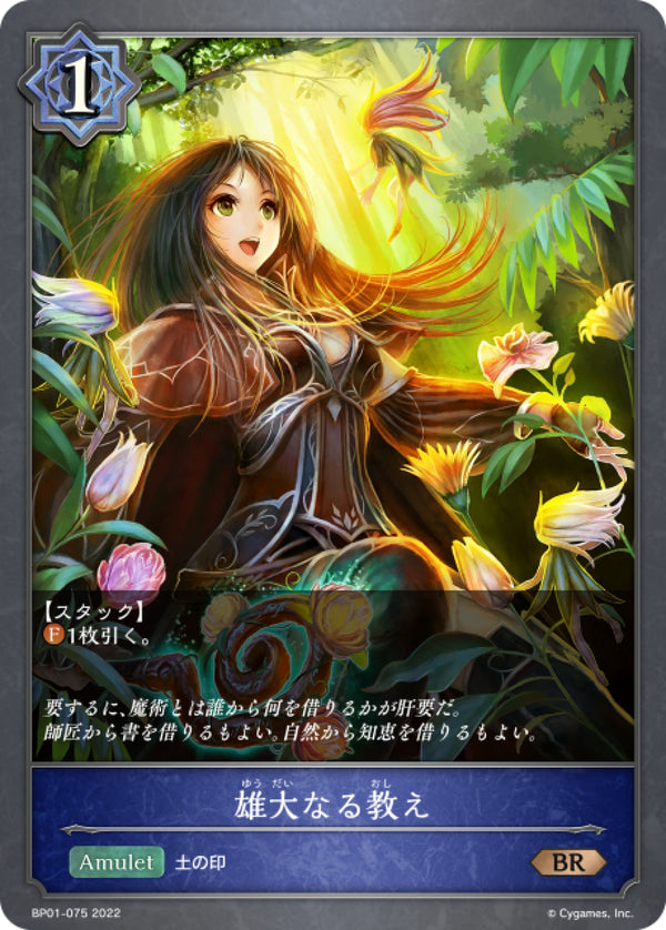 [Shadowverse] 睿智的教誨 / 雄大なる教え-Trading Card Game-TCG-Oztet Amigo