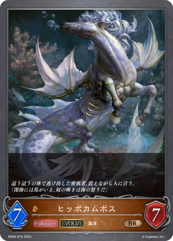 [Shadowverse] 聖域海馬（進化後） /  ヒッポカムポス-Trading Card Game-TCG-Oztet Amigo