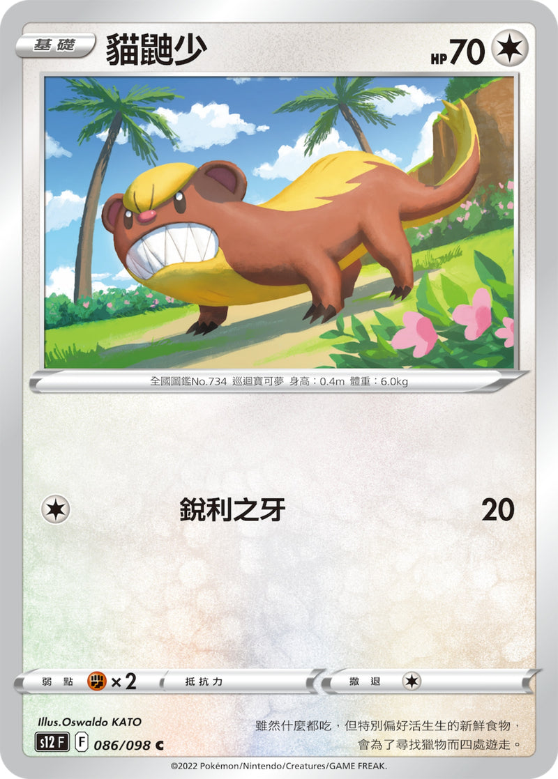 [Pokémon] S12 貓鼬少-Trading Card Game-TCG-Oztet Amigo