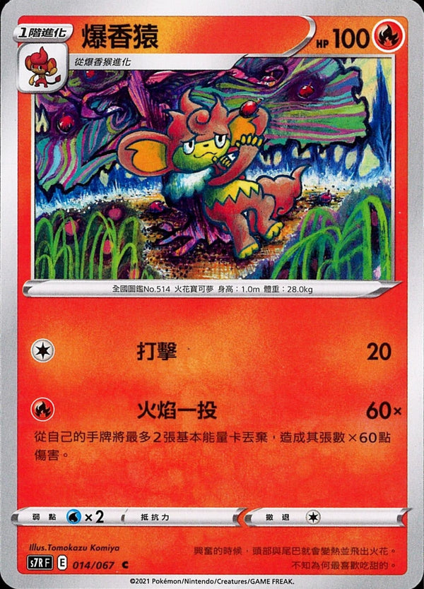 [Pokémon] s7RF 爆香猿-Trading Card Game-TCG-Oztet Amigo